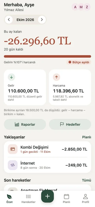 Özet ekranı